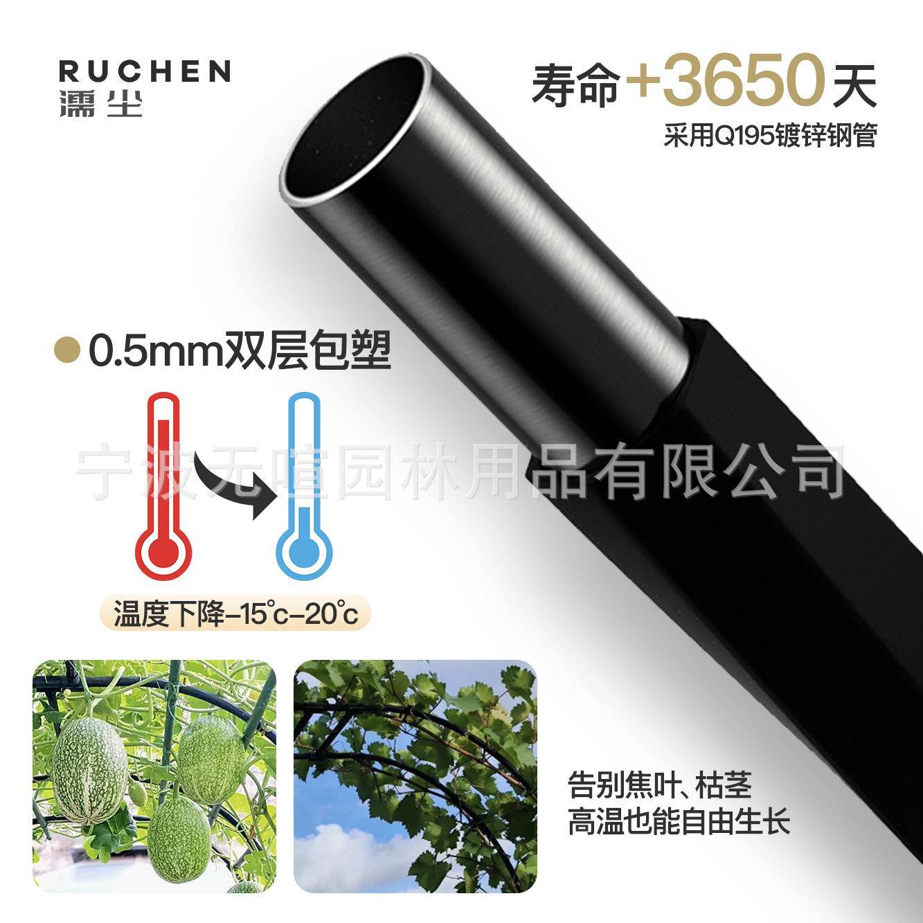 门拱花庭架屏风网格月季爬藤拱架葡萄架户外院SWPGM001植物杆形支