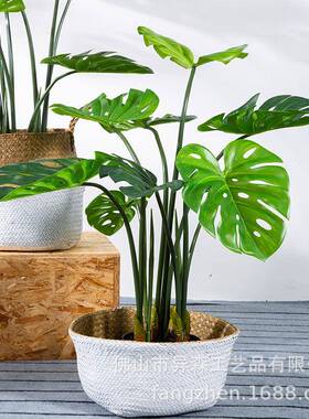 假仿造真植物龟背竹植假树绿装饰客YS-05452厅落地大盆仿真绿植景