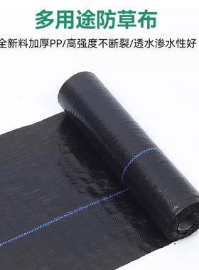 90g加厚除地草地布防草布黑色防草布水透气防绿化园林透草CGV布pp