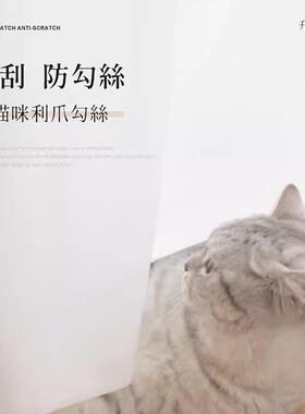 窗纱白色金NEY纱窗帘透光半透防刮白客厅刚卧室雪纺薄人纱阳台纱