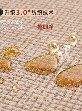 地理垫入户耐脏易打色仿剑麻JR202501门垫门纯口玄关高级感入门户