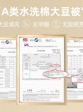 大豆纤维被冬a豆被子冬季厚大款双人类被芯宿舍单人被酒KN-A类原