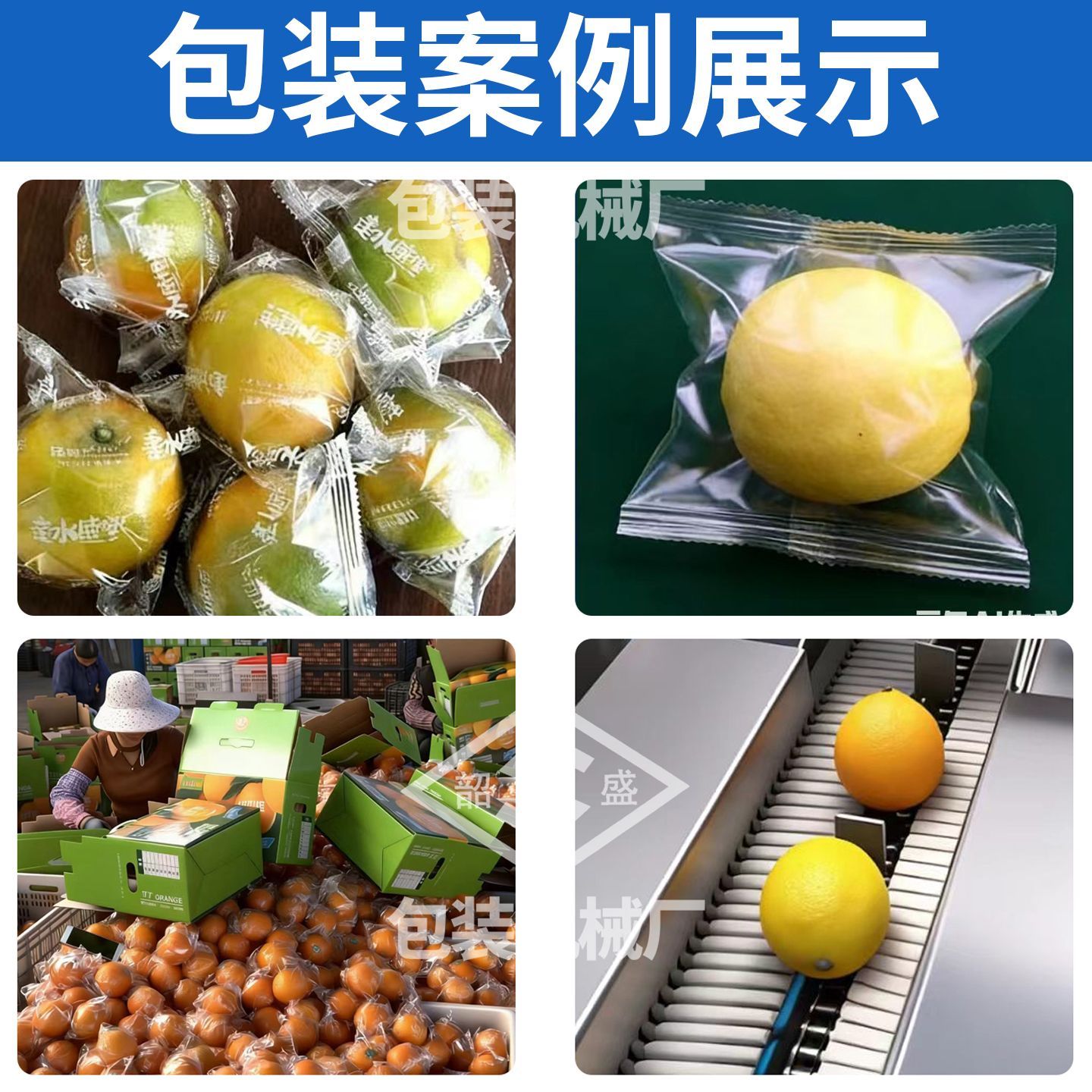 水果自动包装机 橙子柠檬专用 高速封口防磕碰 省人工效率高 商用