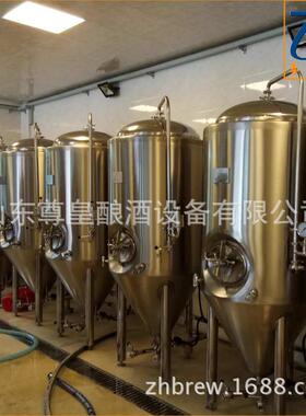 300L糖化啤酒设备 600L啤酒发酵罐 自酿啤酒机 原浆啤酒生产设备