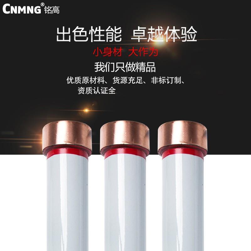 R3AN1R/RN/RN-235/0.5A户内高压限流熔断器XWO3/RW10/RW9-40.5KV