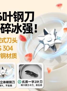 罗娅榨汁机71716携叶刀小型便式榨杯迷你冰家用汁无线碎炸果汁机