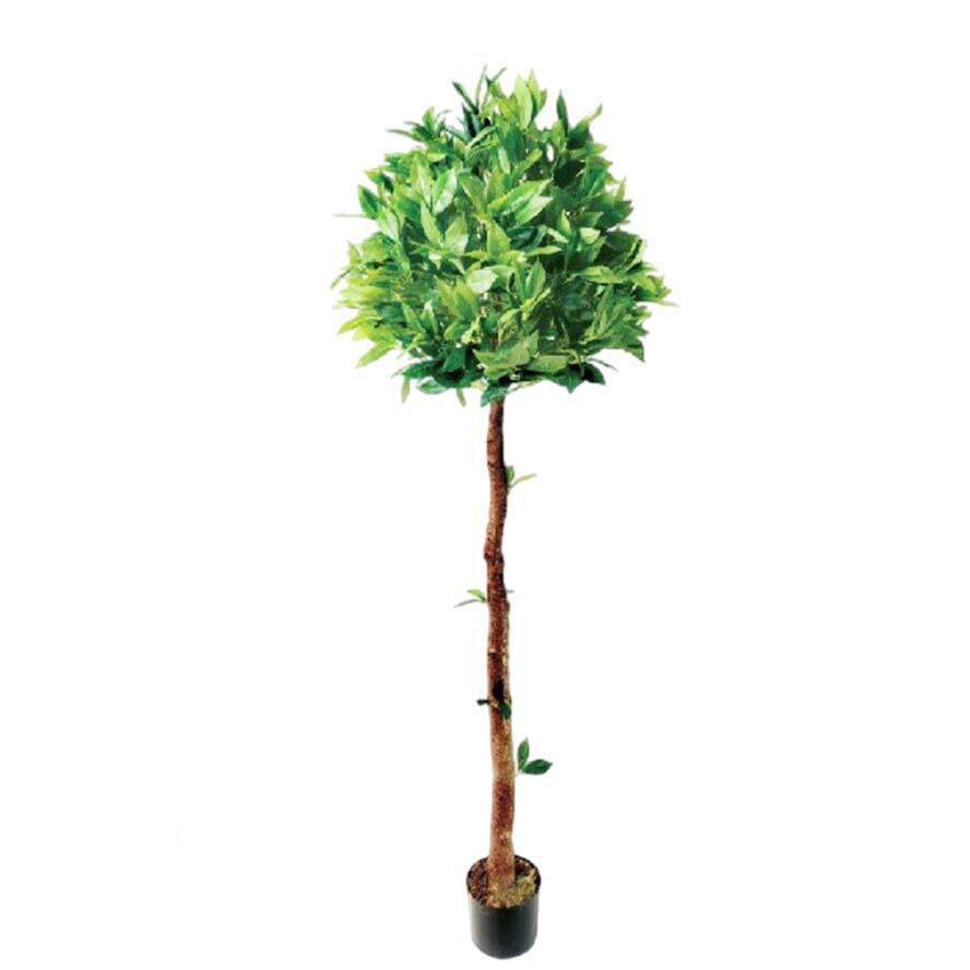 北HL0031欧仿家真月人造桂花盆树景居装饰绿植月桂桂树盆栽落地仿