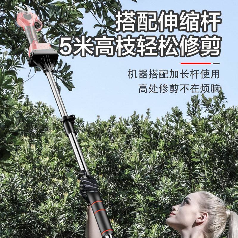 加伸长杆1.3-2.15枝剪德特捷电伸缩杆果树修伸剪机缩延长剪杆修枝