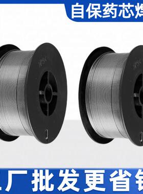 无气二保焊药芯自保焊丝08m氩弧623焊接小焊机家用焊丝丝一公斤1.