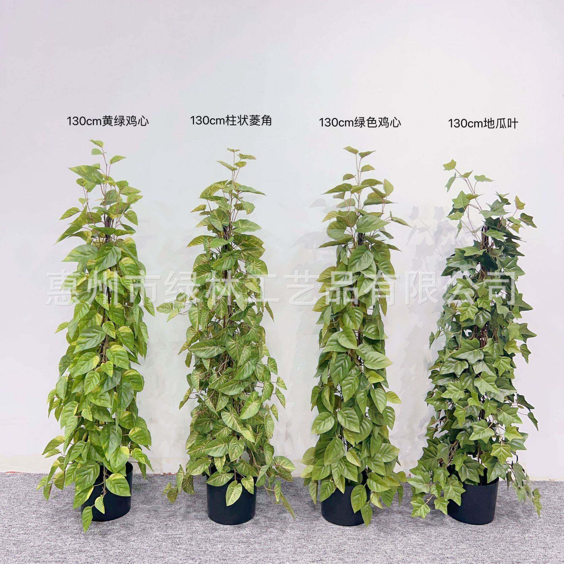仿番真柱状藤胶叶壁挂爬藤装饰植物鸡条心地瓜叶LL-143藤盆栽室内