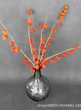 酸浆直果干花自然干花灯果家居婚庆装笼饰插花拍摄道具厂SJG家销