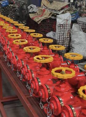 颖龙水消防国标SQD15Q0新型水泵结合器SD00多用1式消防泵SQD100-1