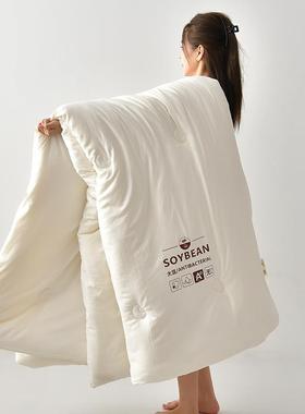 A类母婴棉级有机棉染大被无冬季加厚豆被芯单双人学生被010203有