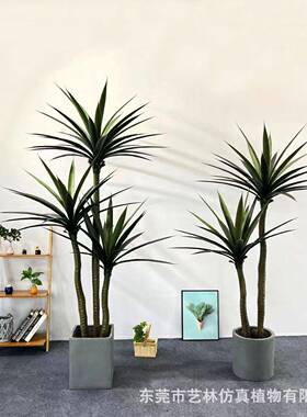 北欧仿真龙兰兰绿植盆栽大型剑地麻绿植室内20230727轻奢落舌造景
