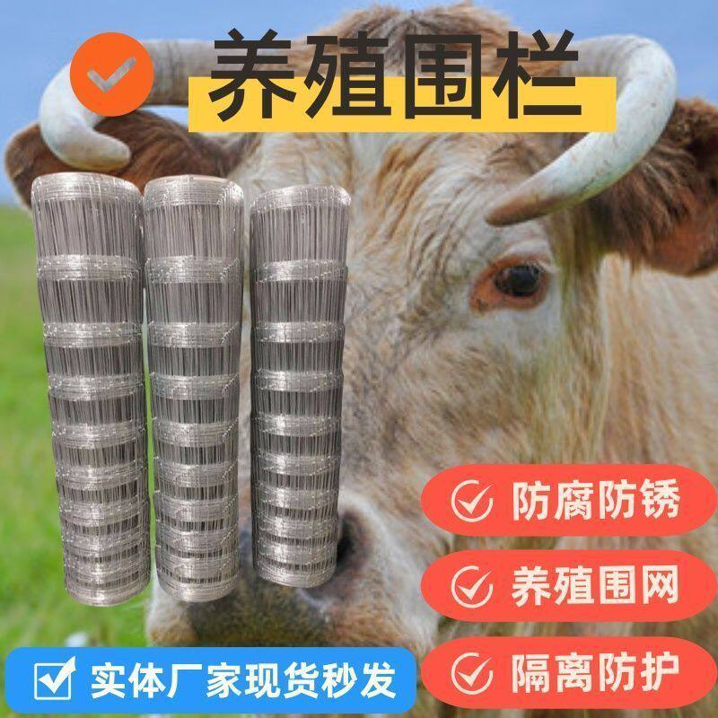 镀锌款铁丝网果园围栏网批发牛栏网圈地拦牛羊鸡鸭网栅栏防护网