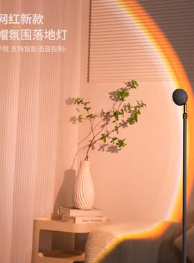 小红帽级落地灯99033客厅高感轻奢光落地围灯氛卧室沙发旁边灯影