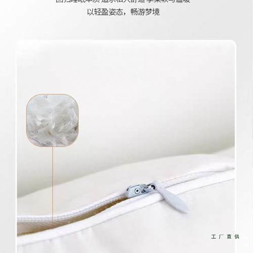 鹅毛羽绒抱枕芯形羽毛枕枕芯睡枕垫靠垫F99HT5S6补正方其他抱坐化
