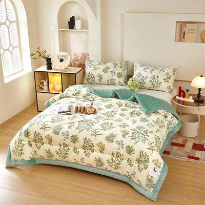 a类全秋棉豆被可机洗豆纯YG-26591棉豆豆绒冬被冬被学生宿舍单人
