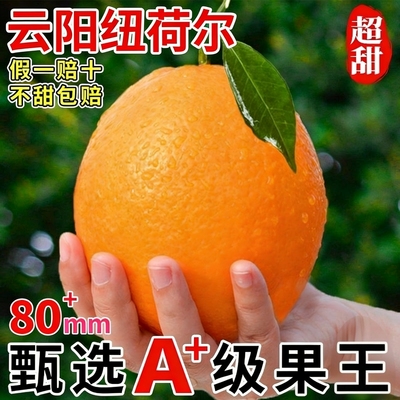 回购率99%·重庆云阳纽荷尔脐橙