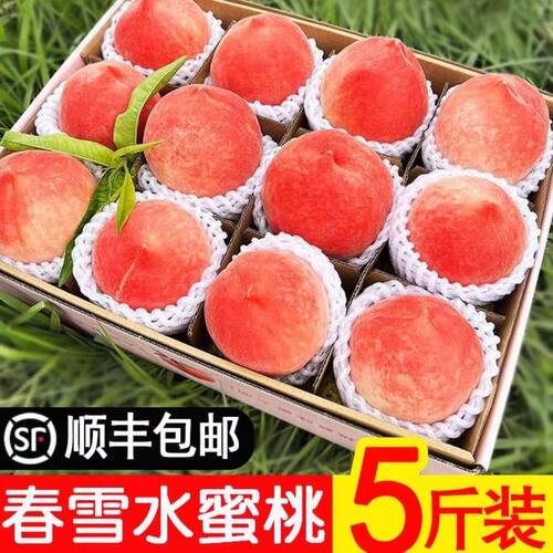 春雪水蜜桃顺丰新鲜脆甜礼盒