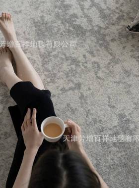土耳其丙纶客厅地毯高级灰色代沙满发茶几毯极简现奢轻铺AL667026