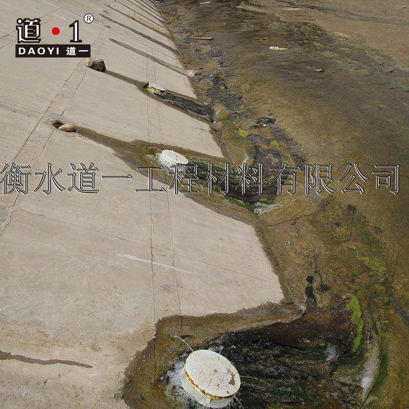 边坡逆阀河逆止阀单道向阀防淤积逆止阀止泄排水阀CEC压阀