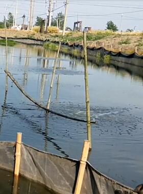 渔养殖增SBC氧泵塘2塘0亩池全套微业孔增氧机鱼底部曝气桂鱼泥鳅