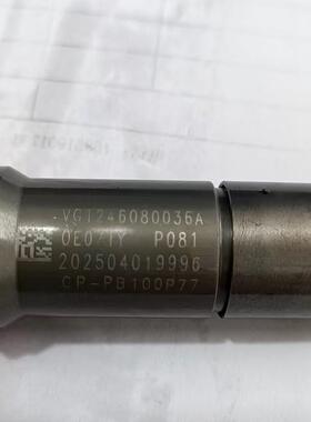 VG1246080036 发动机喷油器 用于中国重汽豪沃A7 D12卡车发动机
