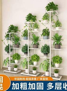 加厚花客架19268子室家用厅阳台落地内层式多可折叠简易花架绿萝