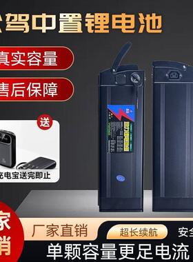 新国标动代驾2折叠车48V电20AHH5A30AH35402AH通用多尺寸锂电池