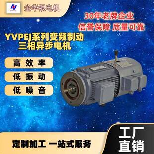 厂家直销YVPEJ系列变频制动三相异步电动机高效节能低噪