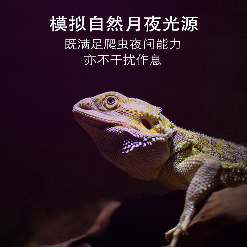 UVA夜灯加热灯鹦鹉刺猬蜥蜴蛇爬虫爬宠缸陆龟箱保温夜光月光灯