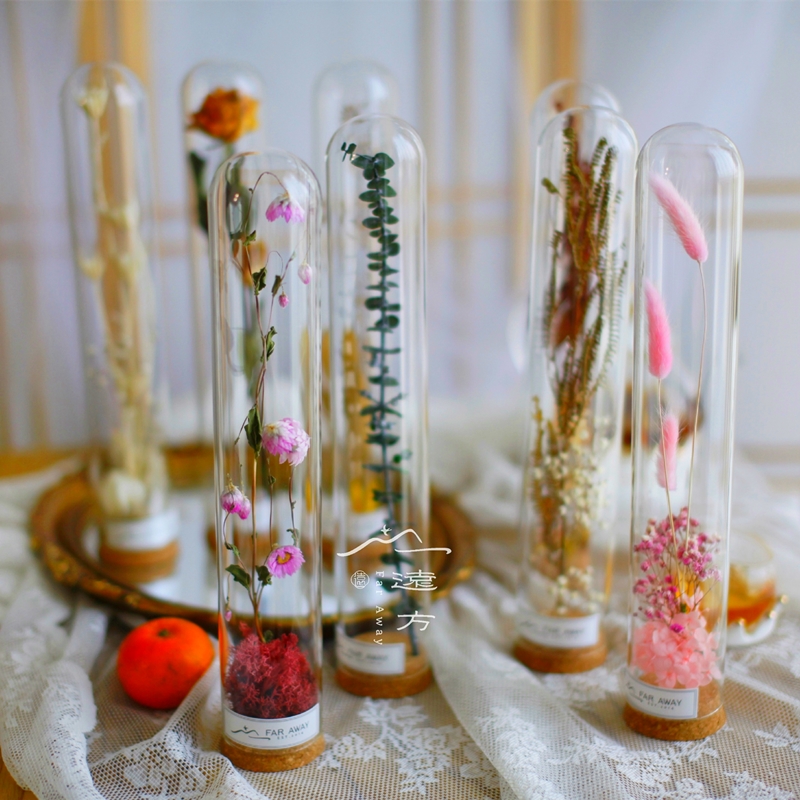 软木塞加高款玻璃罩 玫瑰干花收纳摆件diy饰品玻璃瓶试管瓶许愿瓶
