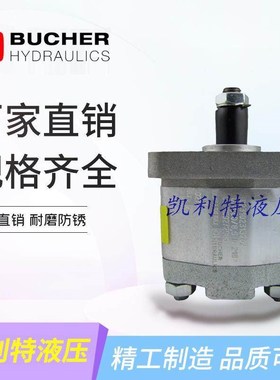 DUPLOMATIC布赫齿轮泵GP1-0041R95F20N GP3-0264R97F20N GP2