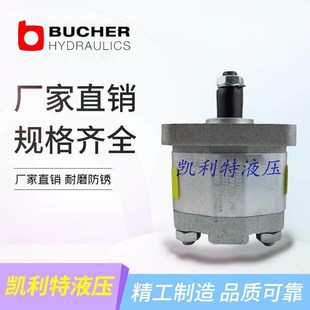 0264R97F20N GP3 GP2 0041R95F20N DUPLOMATIC布赫齿轮泵GP1