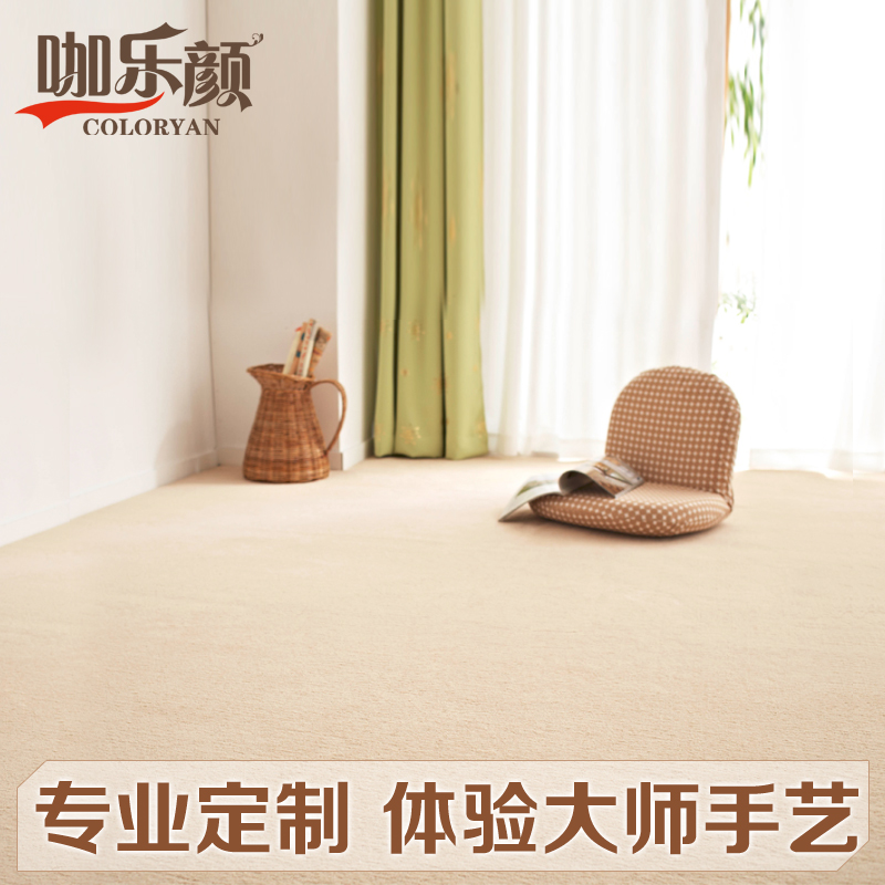 卧室满铺办公室地毯家用房间客厅茶几床边毯入户门垫进门地垫定制