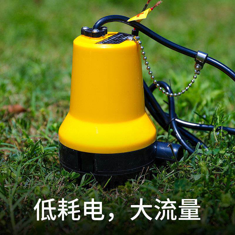 吸水泵抽家用抽水小黄泵电动自式井水12v浇菜小浇水机直流电抽水