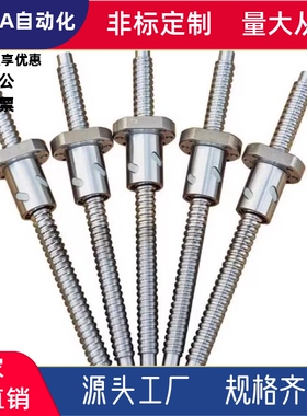 BTWE2005/2010/2020/Y200-2000滚珠丝杠轴径20导程5·10