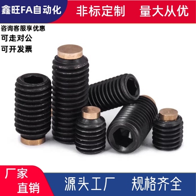 圆柱头挡块止动螺钉SBPP3/4/5/6-5/6/8/10/12/16/20/25/30/40/50