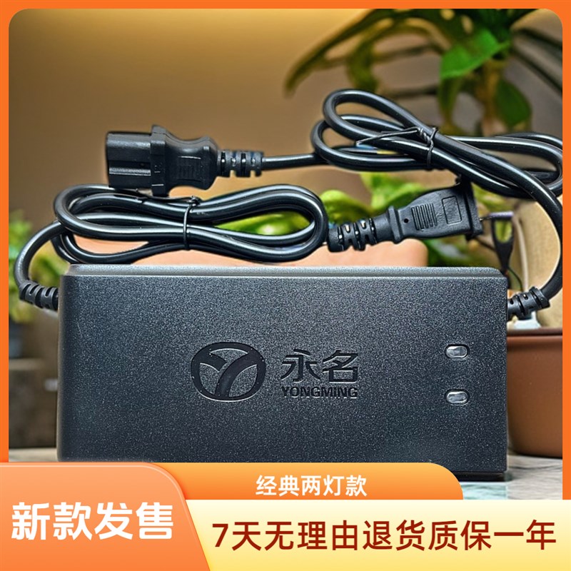 永名充电器两灯显示充满自停铅酸电池专用12V24V48V60V72V智能