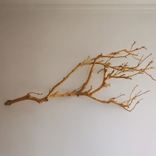 干树枝造景原木干枝酒店橱窗设计枯枝真树枝墙面装饰吊灯树枝装饰