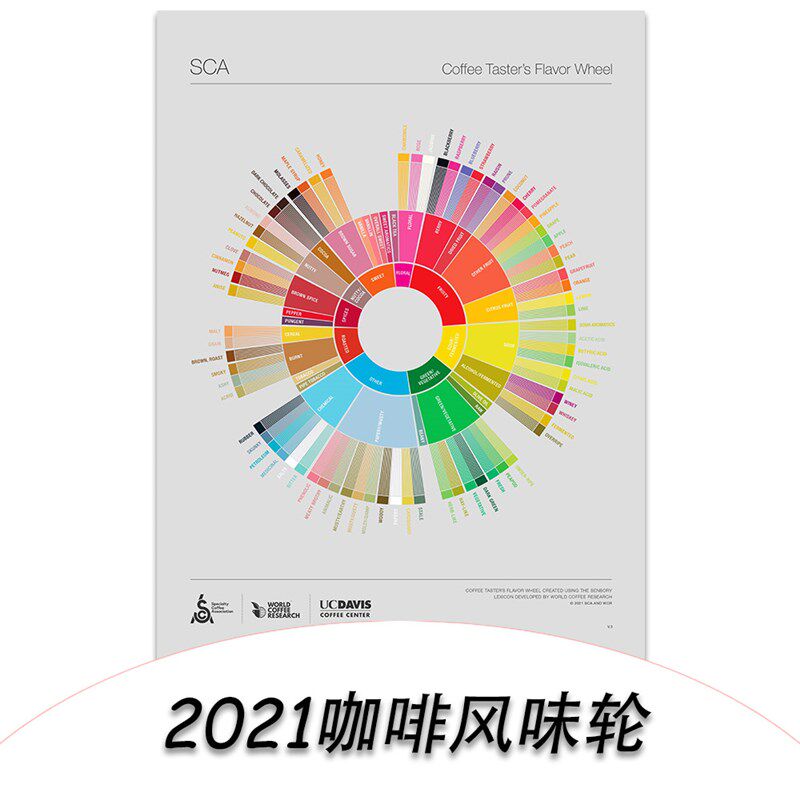 2021新版高清咖啡风味轮大尺寸SCA海报咖啡口味评测咖啡店装饰画