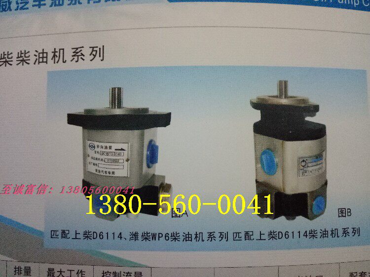 起重机 转向助力泵 QC18/13-D14TA 合肥力威汽车油泵