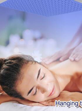 45W紫外线面部晒黑灯460nm波长225led蓝光灯专业日光晒黑机皮肤护