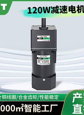 烤全羊专用微型调速电机 5IK120RGU-C/5GU60KB减速电机纯铜可变速