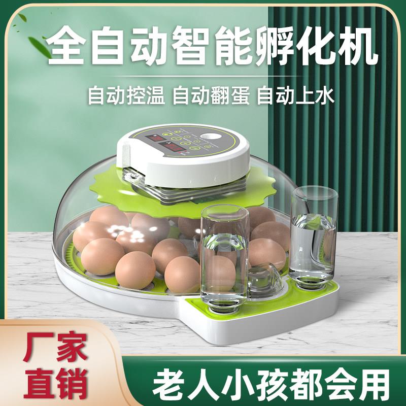 全自动孵化器家用小型鸡鸭鹅孵蛋器芦丁鸡孵蛋机孵化器自动上水