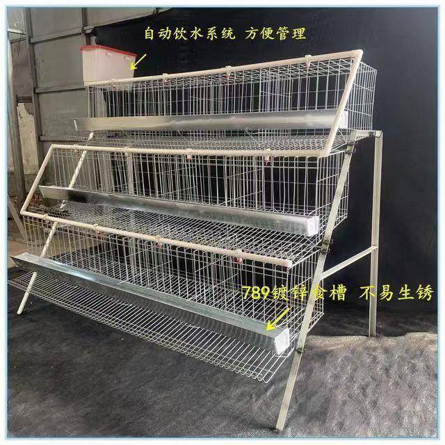 阶梯式蛋鸡单边双边三层自动笼位笼子鸡笼家用加粗养殖场养殖笼具
