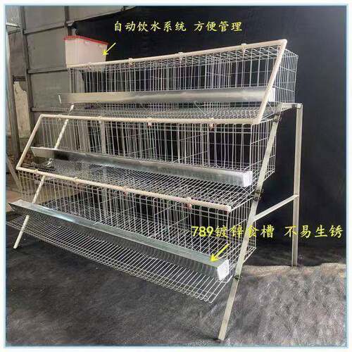 阶梯式蛋鸡单边双边三层自动笼位笼子鸡笼家用加粗养殖场养殖笼具