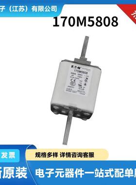 伊顿巴斯曼快速熔断器保险丝170M5462 170M5808 170M5959型号齐全