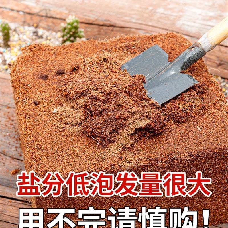9斤大块椰砖营养土通用型种菜耶砖壳养花土盆栽椰糠土壤进口椰砖